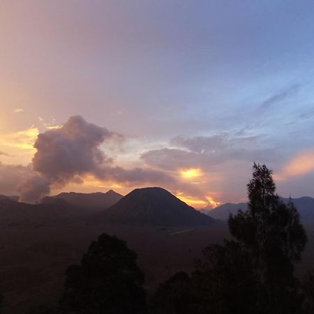 Ngadisari Bromo Holiday Guest House מראה חיצוני תמונה