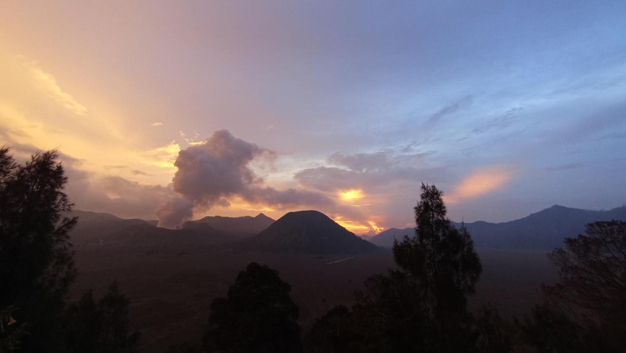 Ngadisari Bromo Holiday Guest House מראה חיצוני תמונה