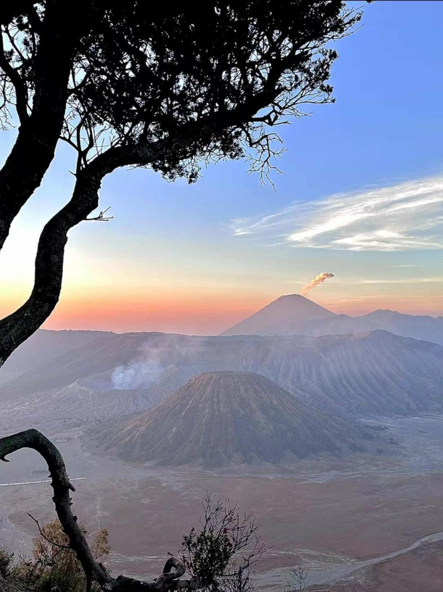 Ngadisari Bromo Holiday Guest House מראה חיצוני תמונה